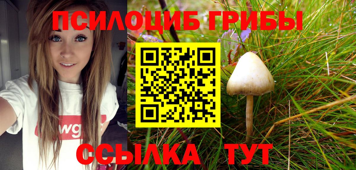 Азов  Псилоцибиновые грибы MAGIC MUSHROOMS  хочу   Вход с VPN 