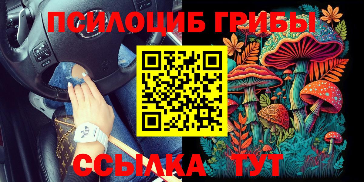 Галлюциногенные грибы Cubensis Азов